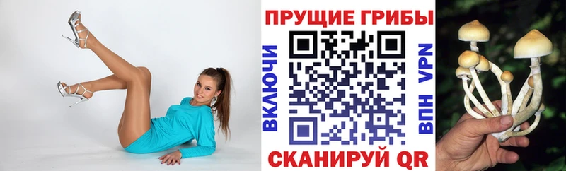 Псилоцибиновые грибы Magic Shrooms  площадка состав  Бавлы 